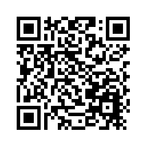 PM Foto qr code cdu blaues ländchen